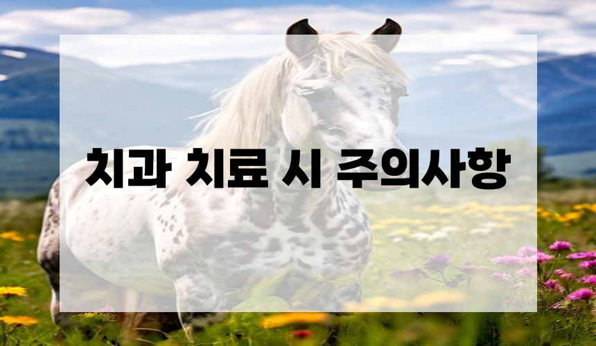 치과 치료 시 주의사항
