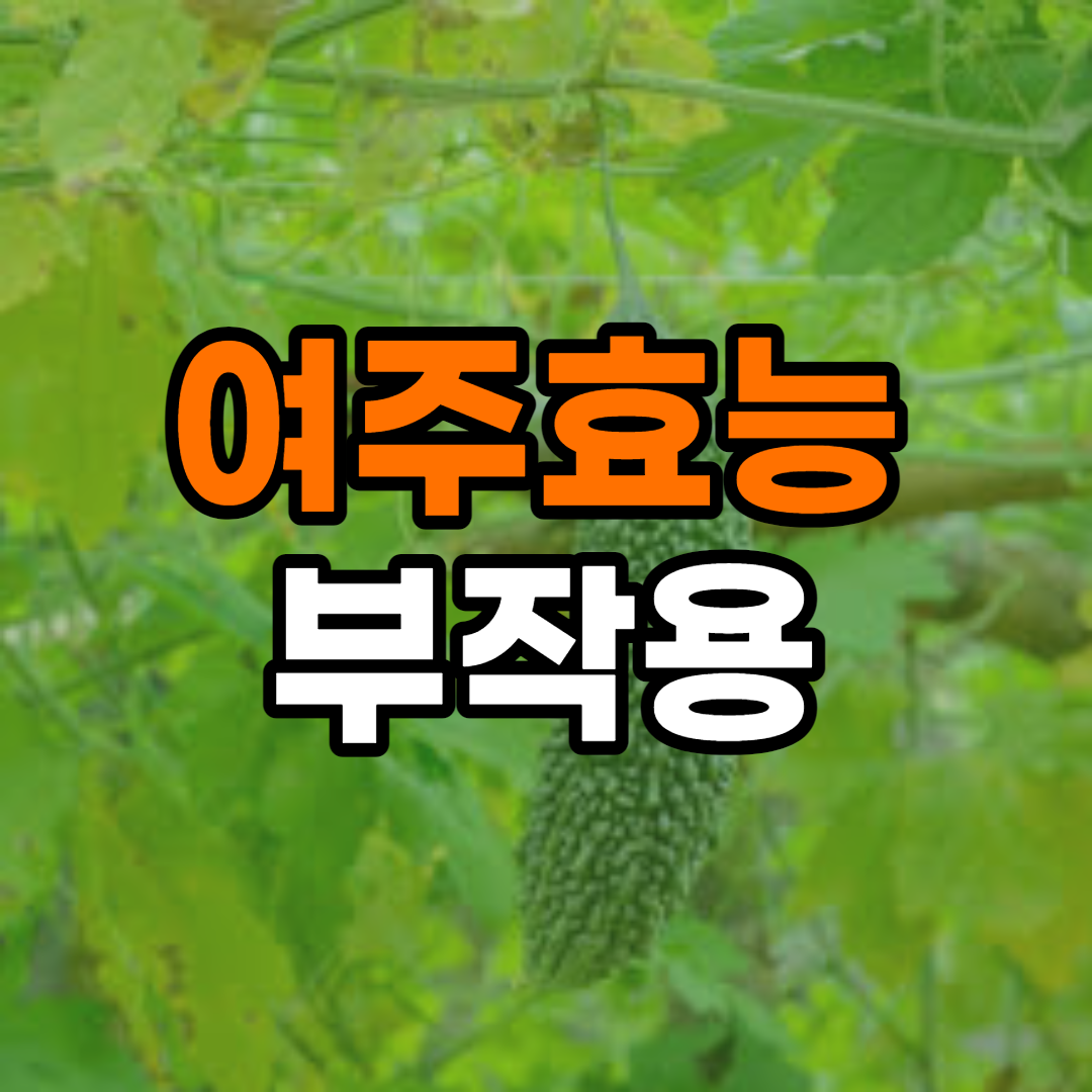  여주 효능 10가지 및 부작용