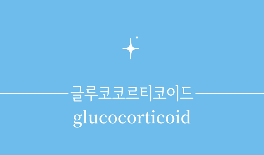 &#39;글루코코르티코이드(glucocorticoid)&#39;