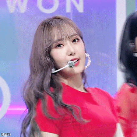 img.gif