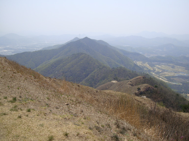  이천 정개산, 원적산 [넋고개~정개산~원적산] / 이천 산수유