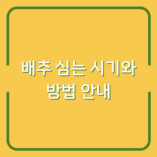 배추 심는 시기와 방법 안내