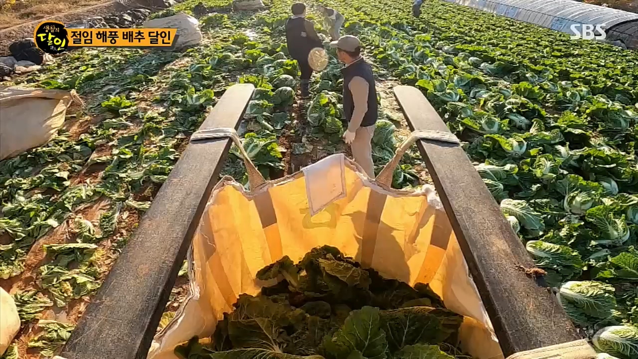 생활의 달인.E868.221213p.H264-F1RST.mp4_20221213_194322.772.jpg