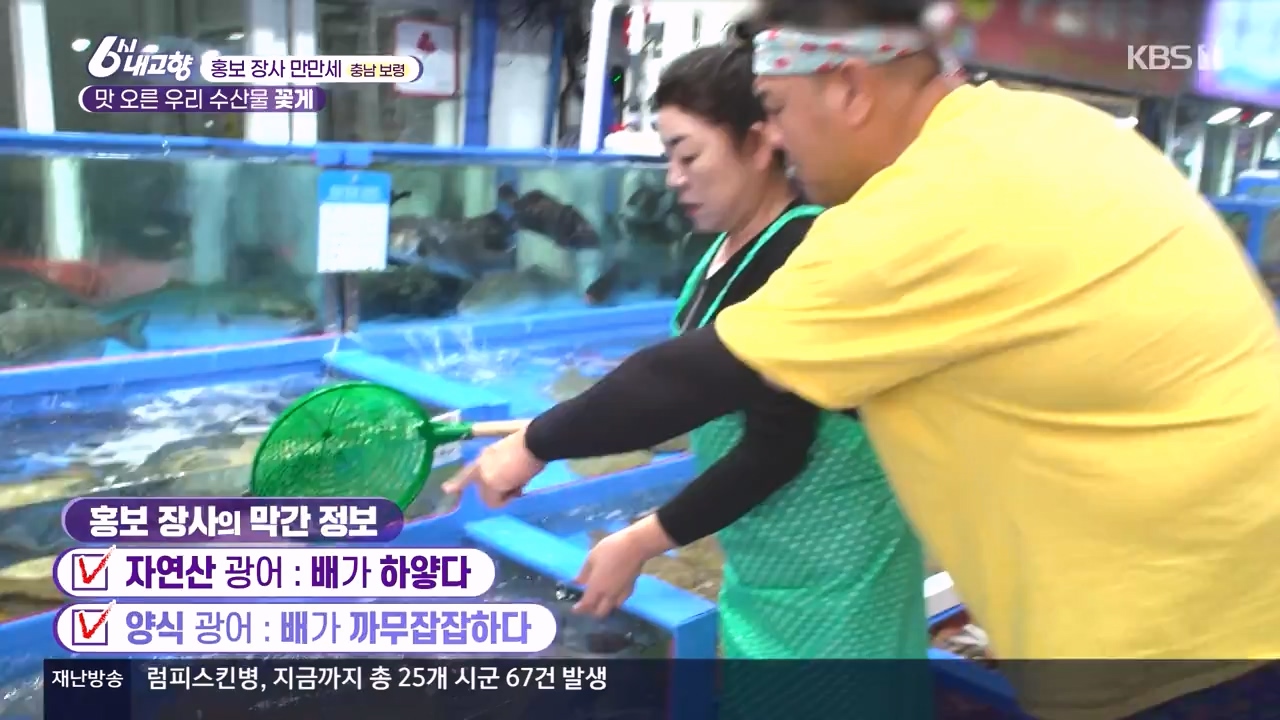 6시 내고향.E7910.231032p-NEXT.mp4_20231101_204606.533.jpg