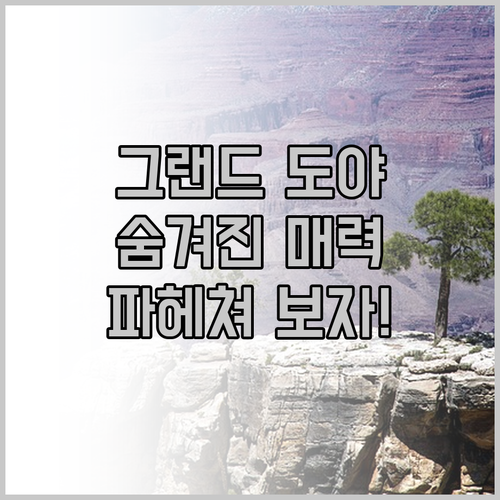 호텔 그랜드 도야, 숨겨진 매력을 파