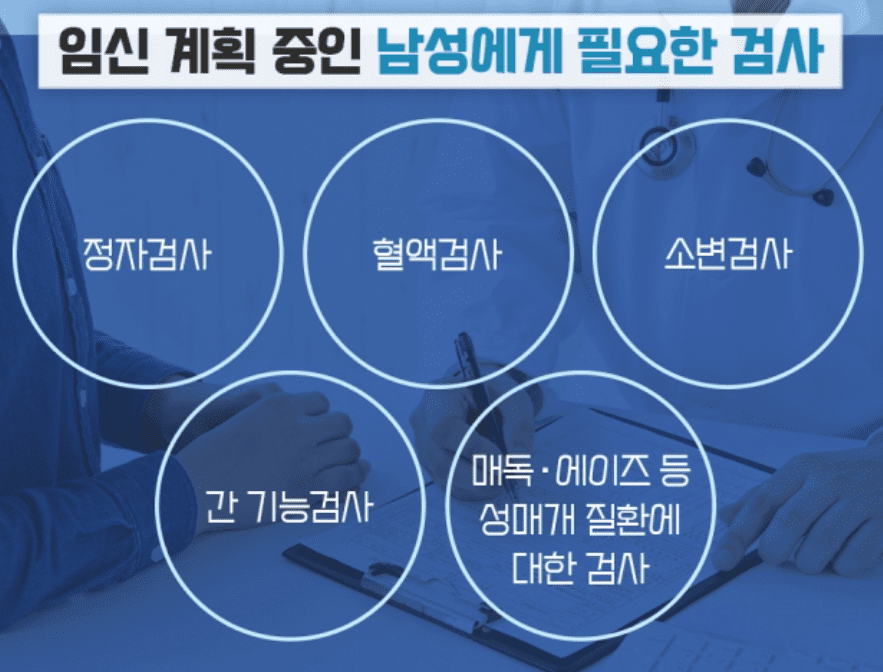 임신준비