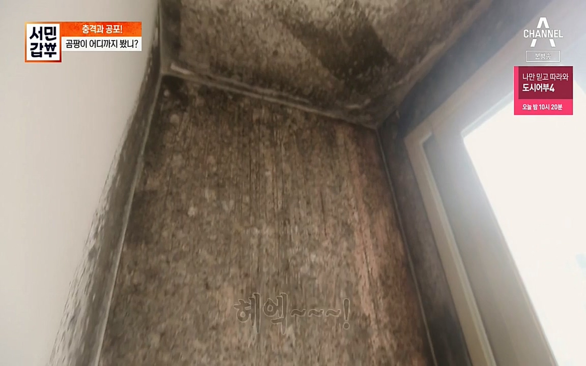 서민 갑부.E393.220724p-NEXT.mp4_20220724_142730.135.jpg