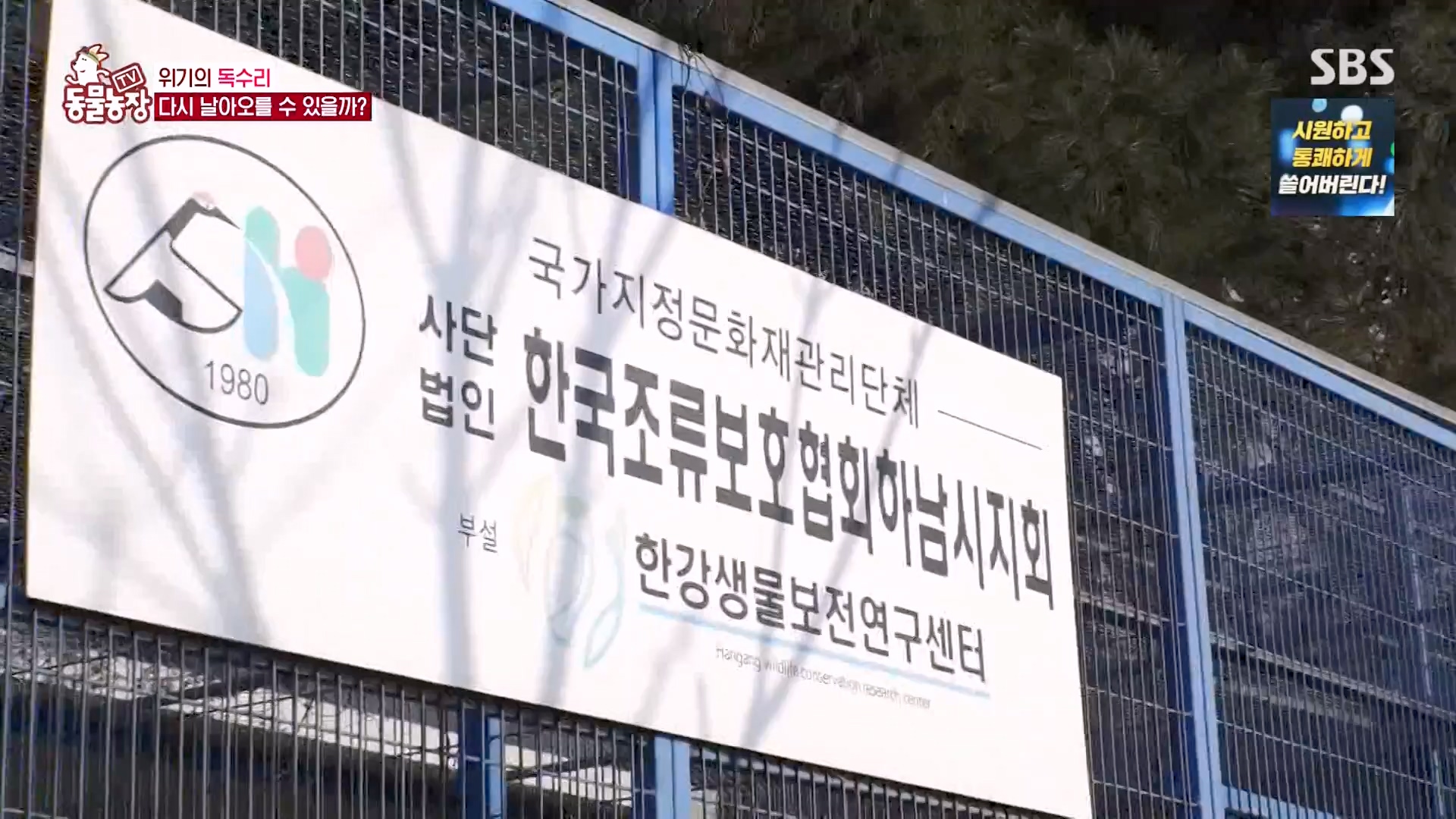 TV 동물농장.E1157.240204p-NEXT.mp4_20240204_172401.795.jpg