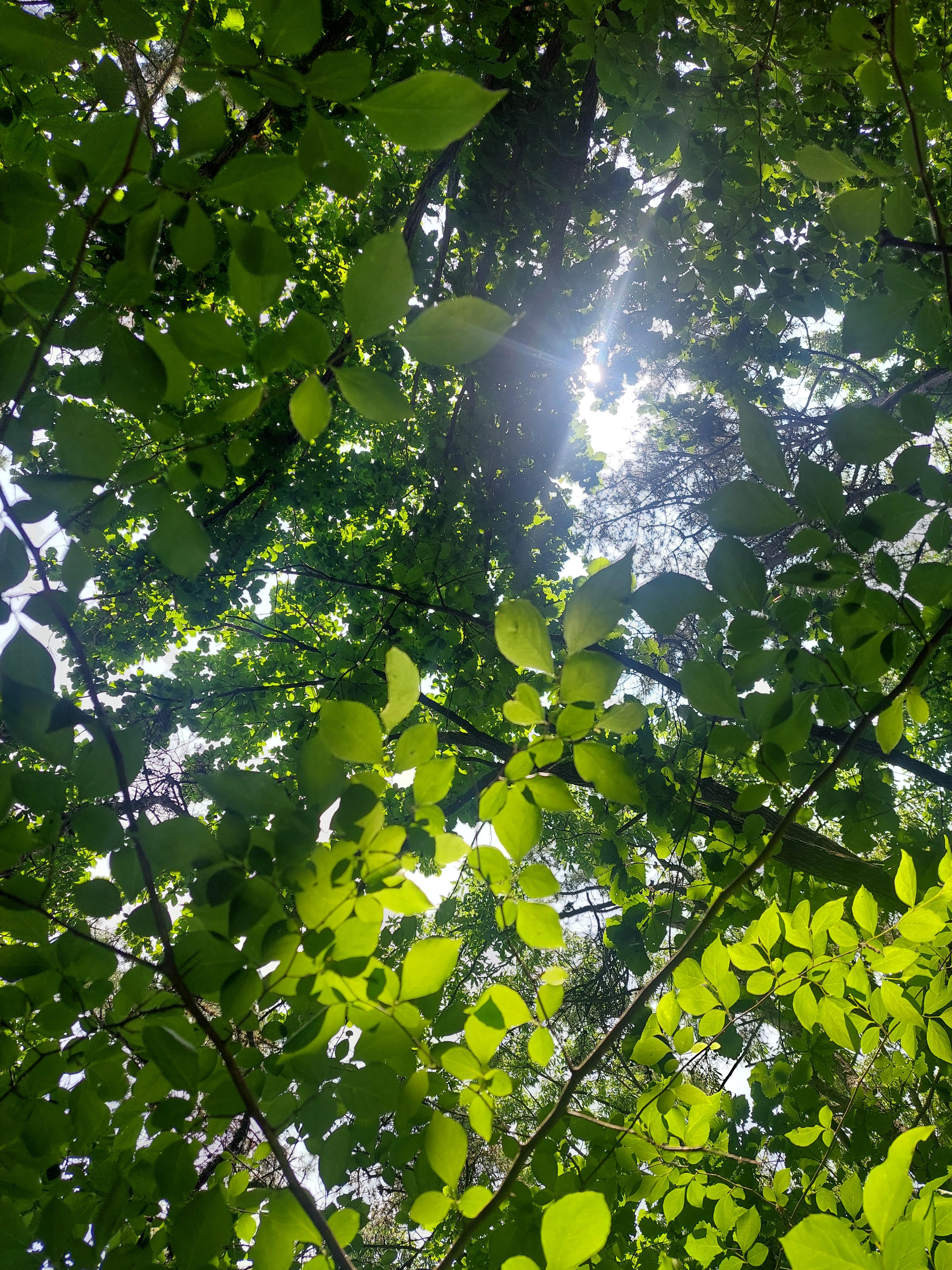 심학산