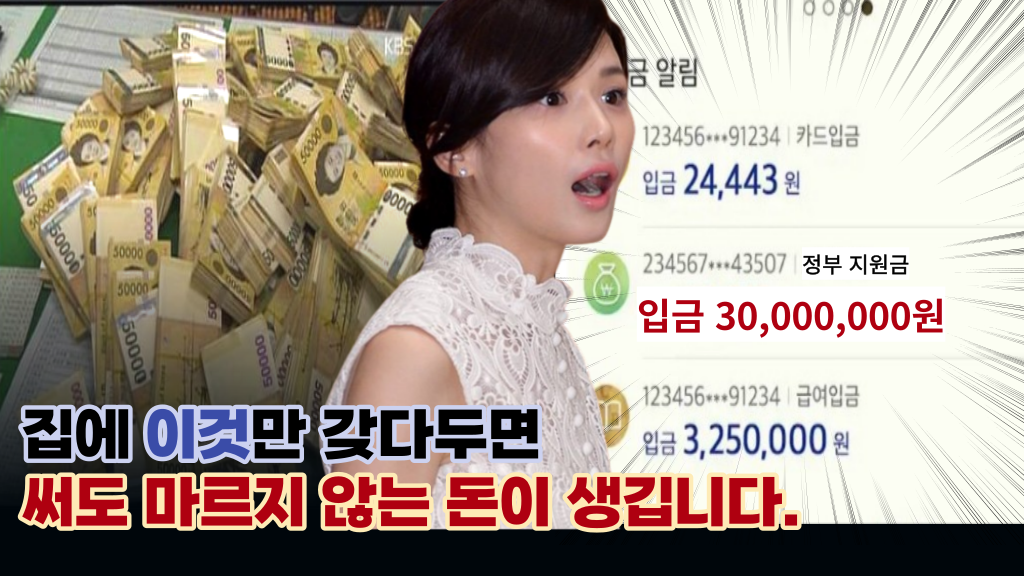  '써도 마르지 않는 큰 재물복을 원한다면' 유명 점집에서 알려주는 집에무조건 둬야 하는 돈을 부르는 물건