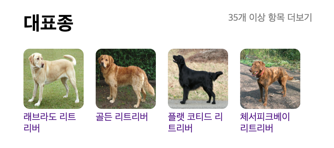 article thumbnail image