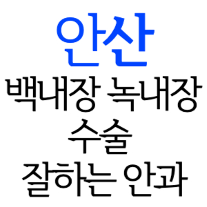 안산 백내장 녹내장 수술잘하는곳 안과 병원 추천 5곳 후기 수술 가격 비용 비교 치료 증상 좋은음식 수술 후 주의사항 알아보기