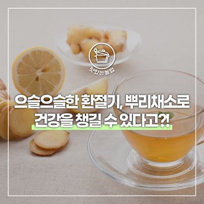 채소 사진 으슬으슬한 환절기, 뿌리채소로 13