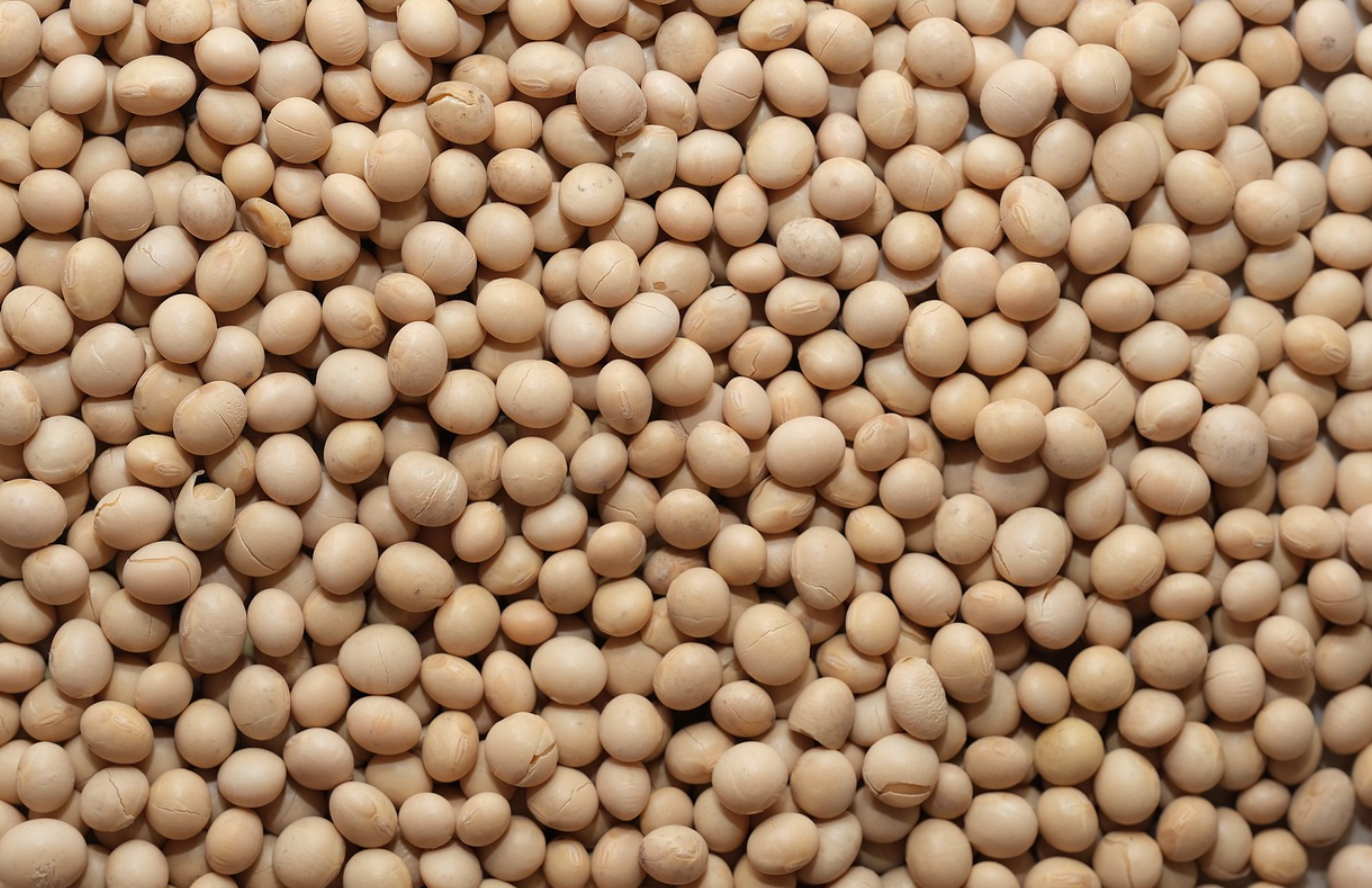 레시틴 효능과 부작용 알아보아요! 레시틴 효능과 부작용 알아보아요!