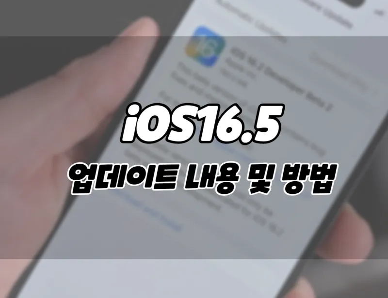 아이폰 iOS 16.5 업데이트. 7가지 새로운 기능 및 다운로드 방법. (+아이패드)