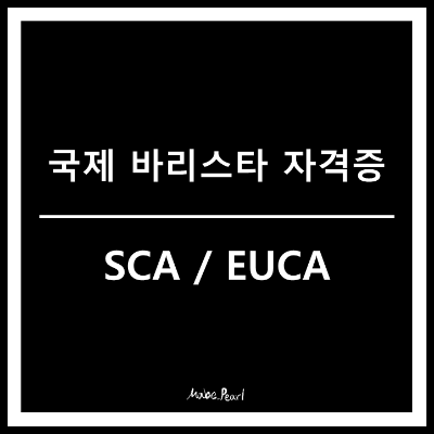 국제 바리스타 자격증
SCA