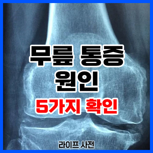 무릎 통증 원인
