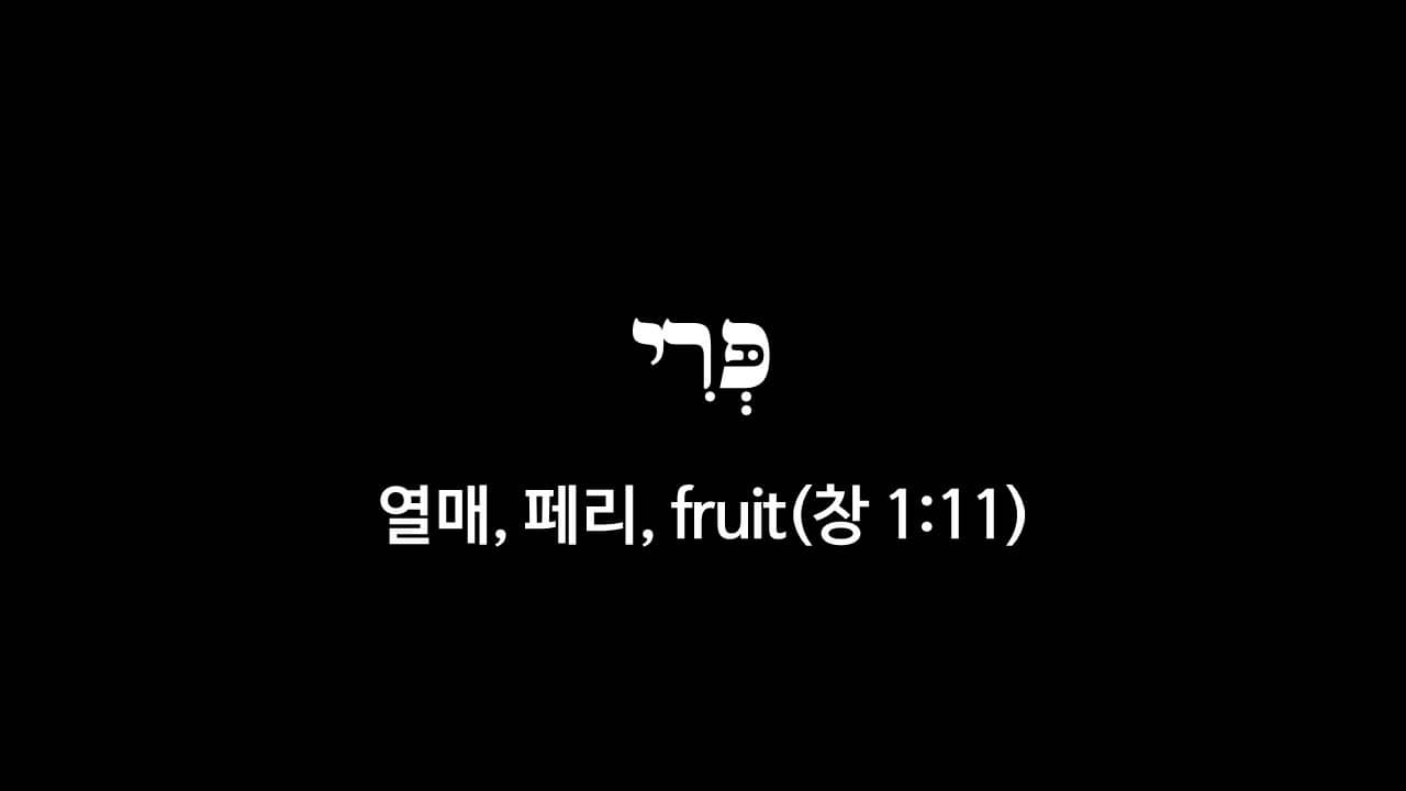 창세기 1장 11절&#44; 열매(פְּרִי&#44; 페리&#44; fruit) - 히브리어 원어 정리