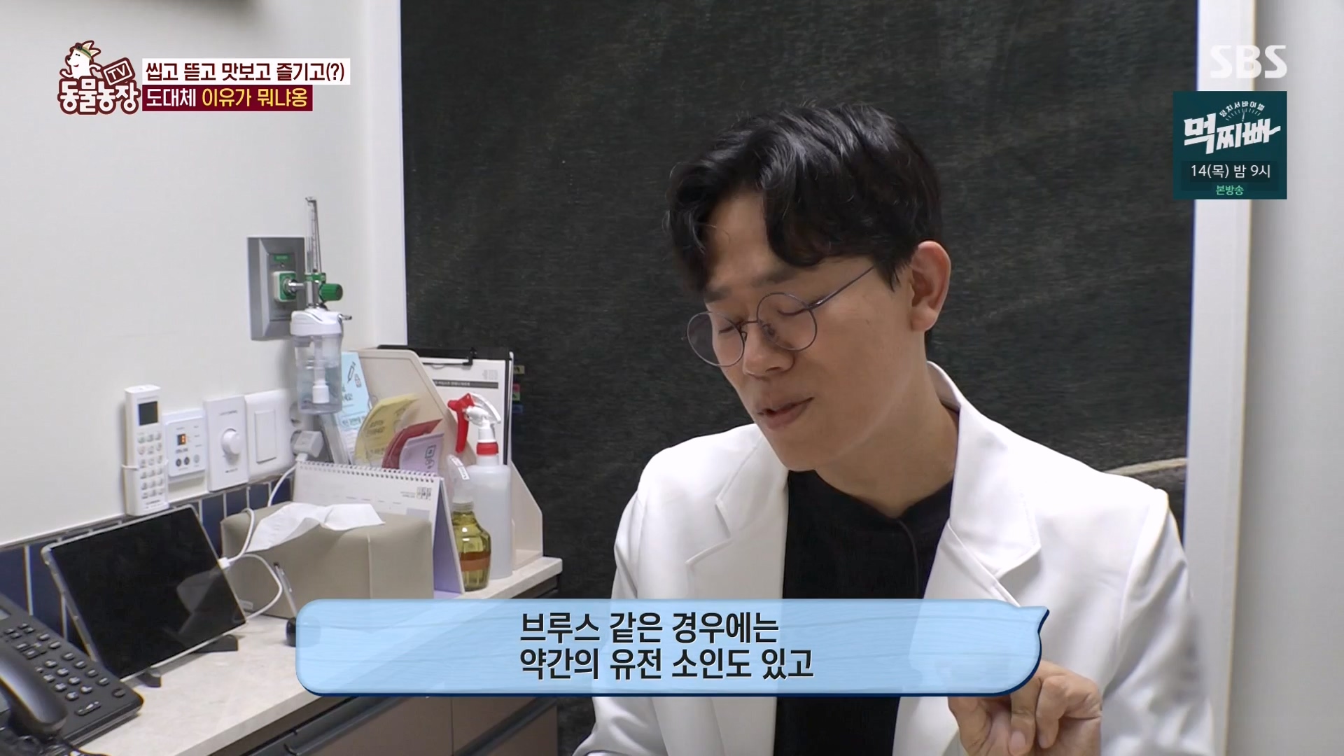 TV 동물농장.E1162.240310p-NEXT.mp4_20240310_162853.228.jpg