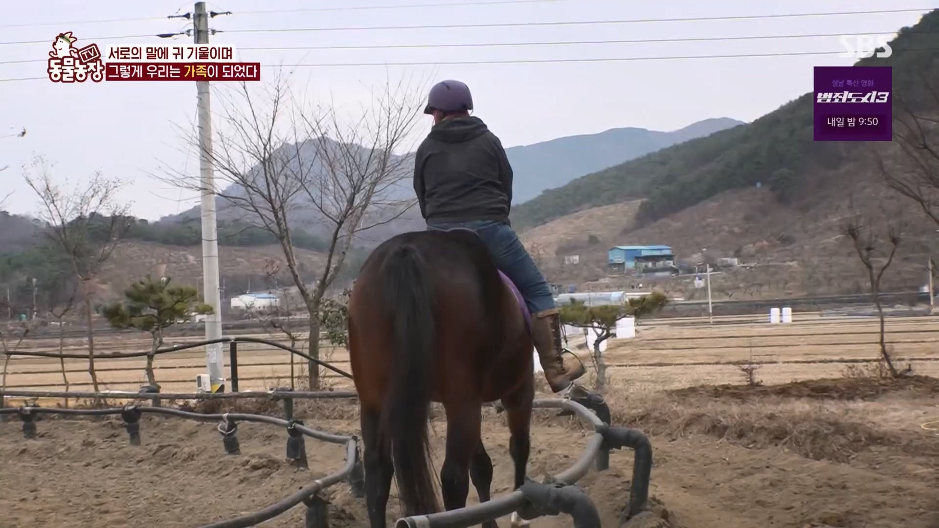 TV 동물농장.E1158.240211p.H264-F1RST.mp4_20240211_194059.141.jpg