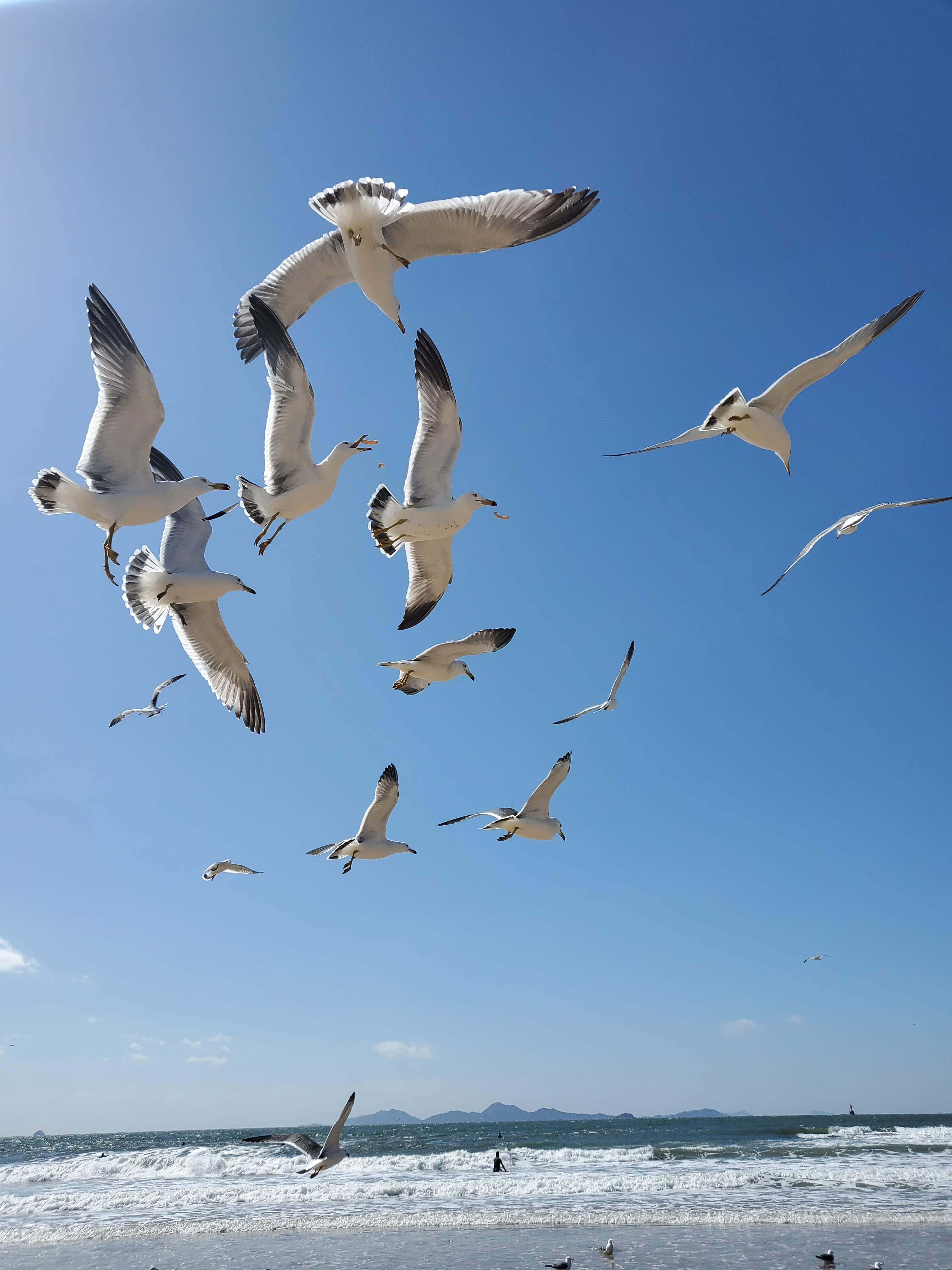 반려견과 변산반도여행 채석강