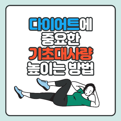 기초대사량