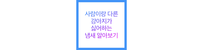 사람이랑 다른 강아지가 싫어하는 냄새 알아보기