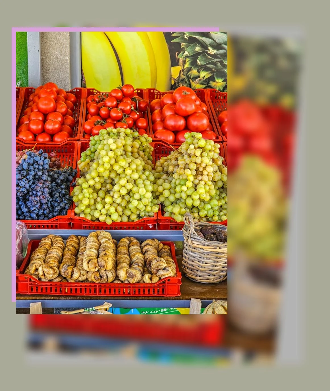 항산화_3_subsection