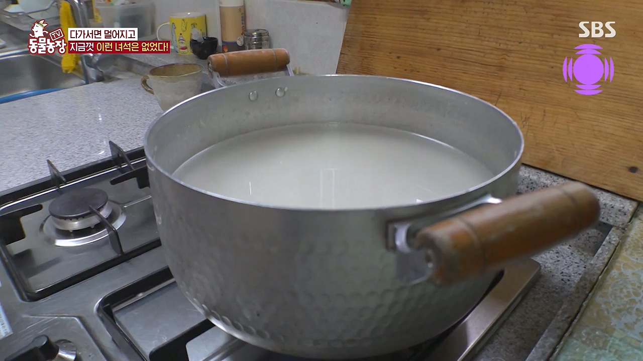 TV 동물농장.E1138.230918p-NEXT.mp4_20230917_174248.375.jpg