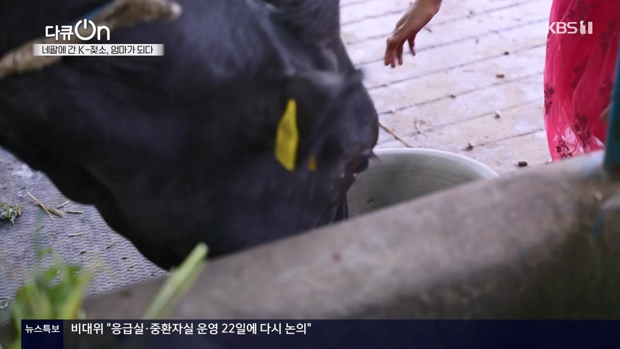 다큐 온.E241.240317p-NEXT.mp4_20240317_182810.721.jpg