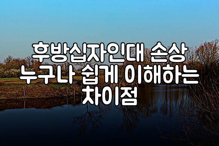 후방십자인대 손상 누구나 쉽게 이해하는 차이점