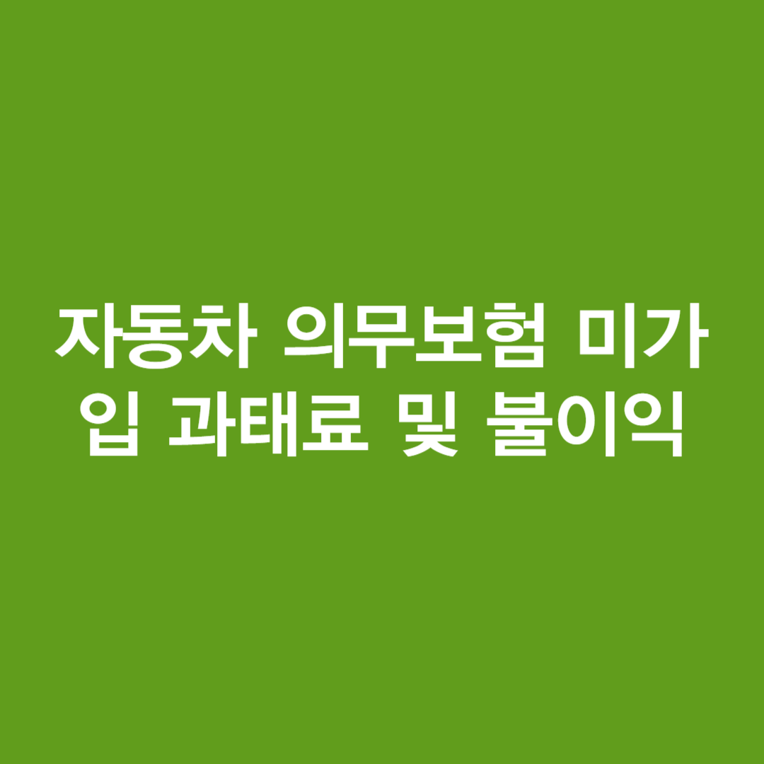 자동차 의무보험 미가입 과태료 및 불이익