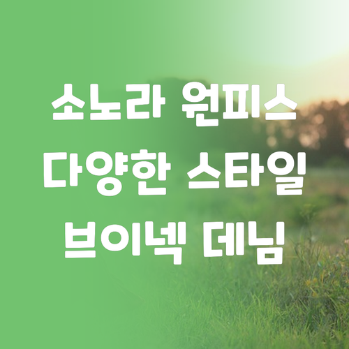 소노라 원피스 컬렉션 브이넥부터 데님