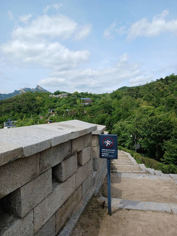 서울도성 성벽 너머 배경
