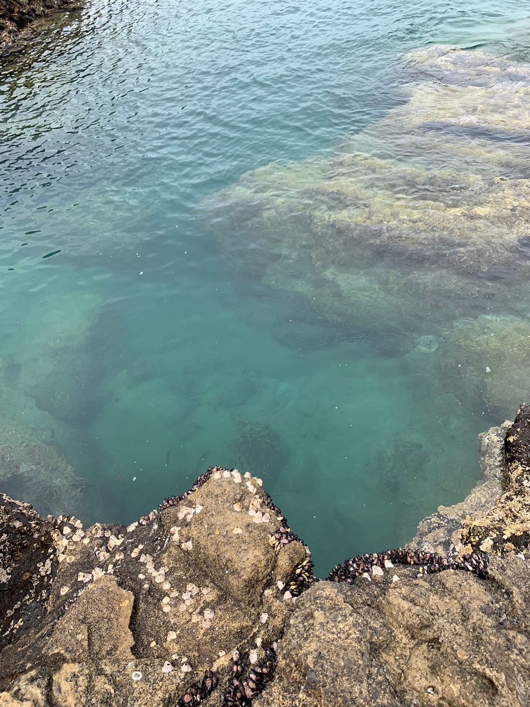 제주도 산방산 용머리해안 멋진 모습들(4)