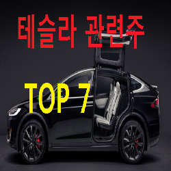  테슬라 관련주 대장주 수혜주 TOP 7 총정리