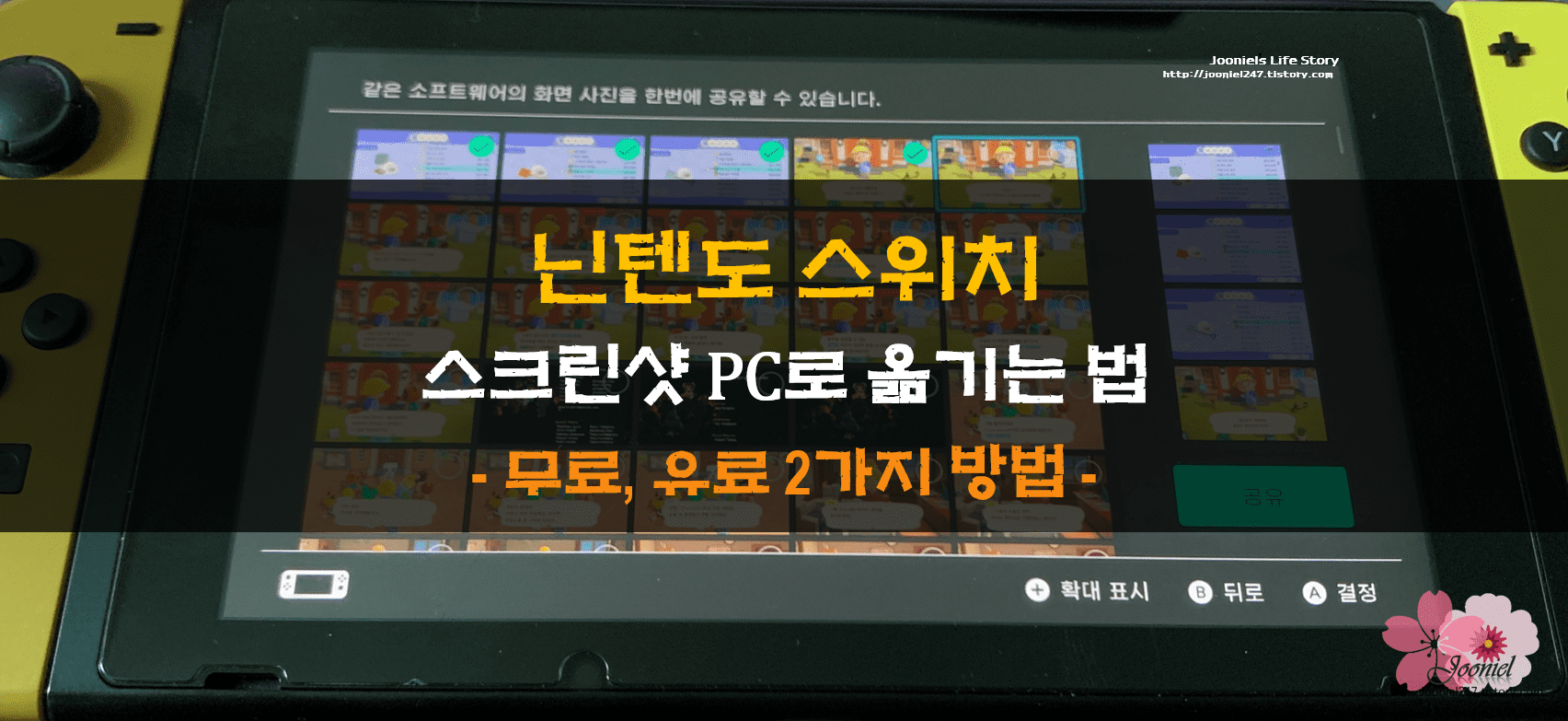 Nintendo] 닌텐도 스위치 사진(스크린샷+동영상) Pc로 옮기기 무료,유료 2가지 방법 *Micro Sd카드 추천