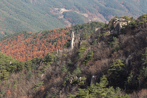 남산제일봉20