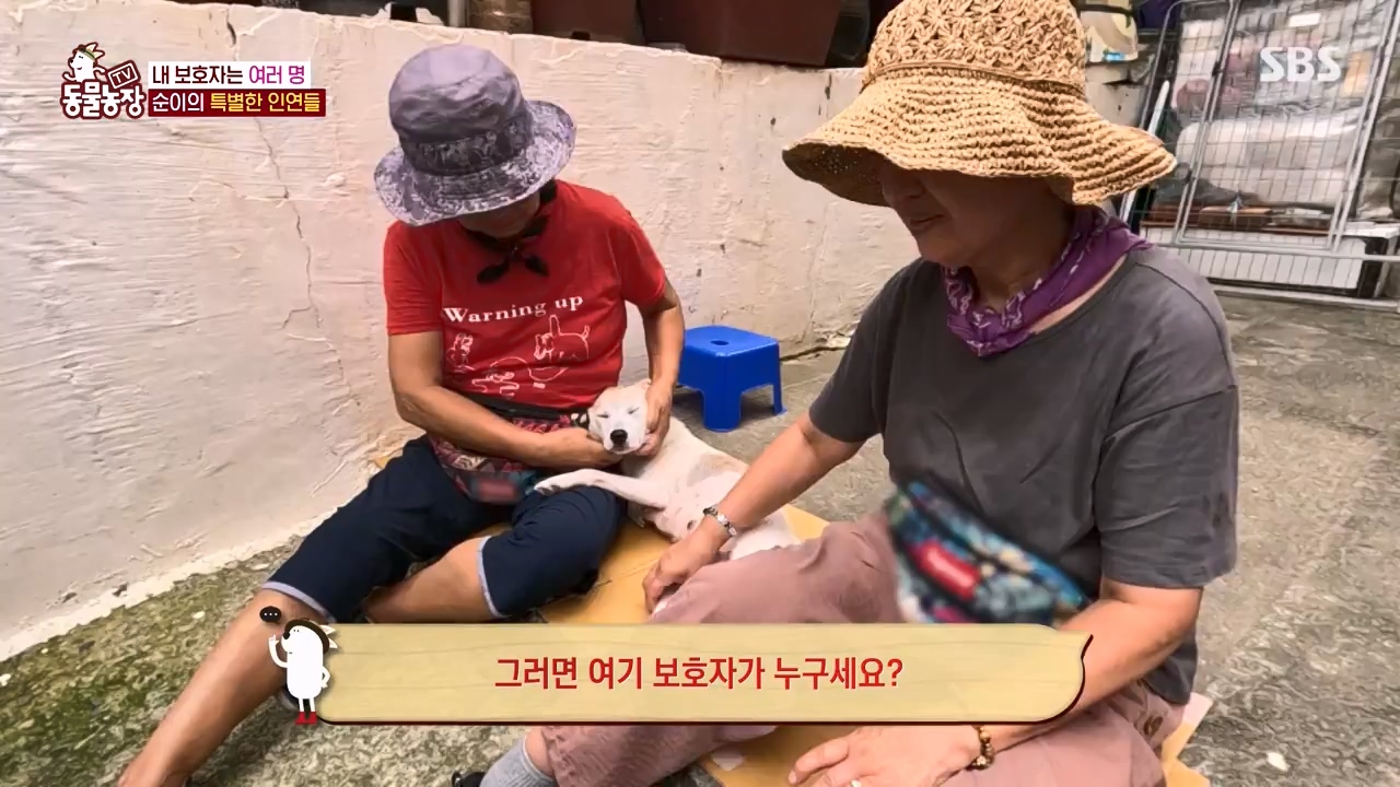 TV 동물농장.E1143.231030p-NEXT.mp4_20231029_162010.355.jpg