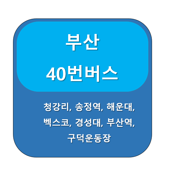  부산 40번버스 노선 정보, 청강리 ↔  구덕운동장
