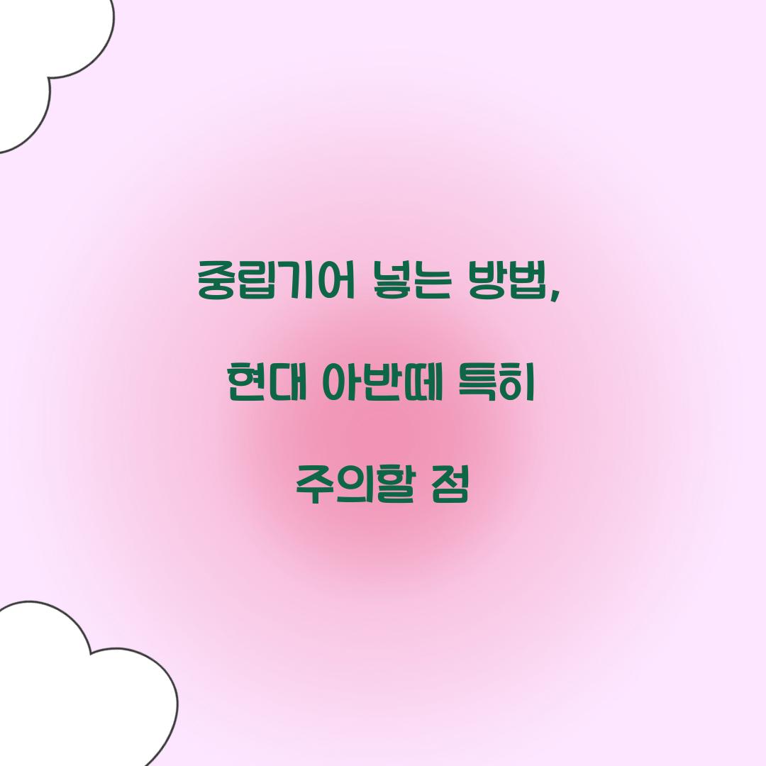 중립기어 넣는 방법