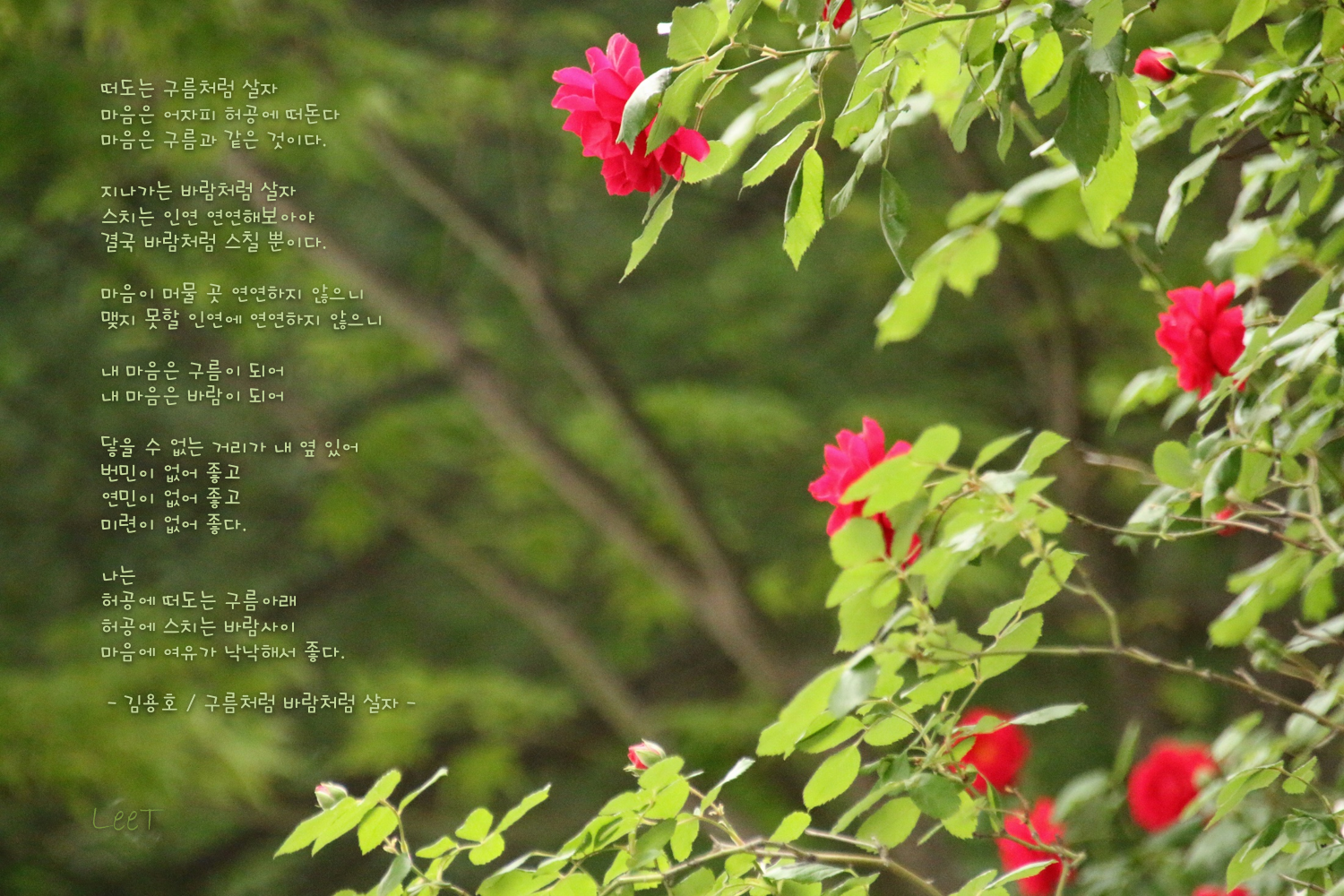 바람도 좋고 구름도 예쁜 요즘은 전기자전거 타기 좋은 요즘입니다.