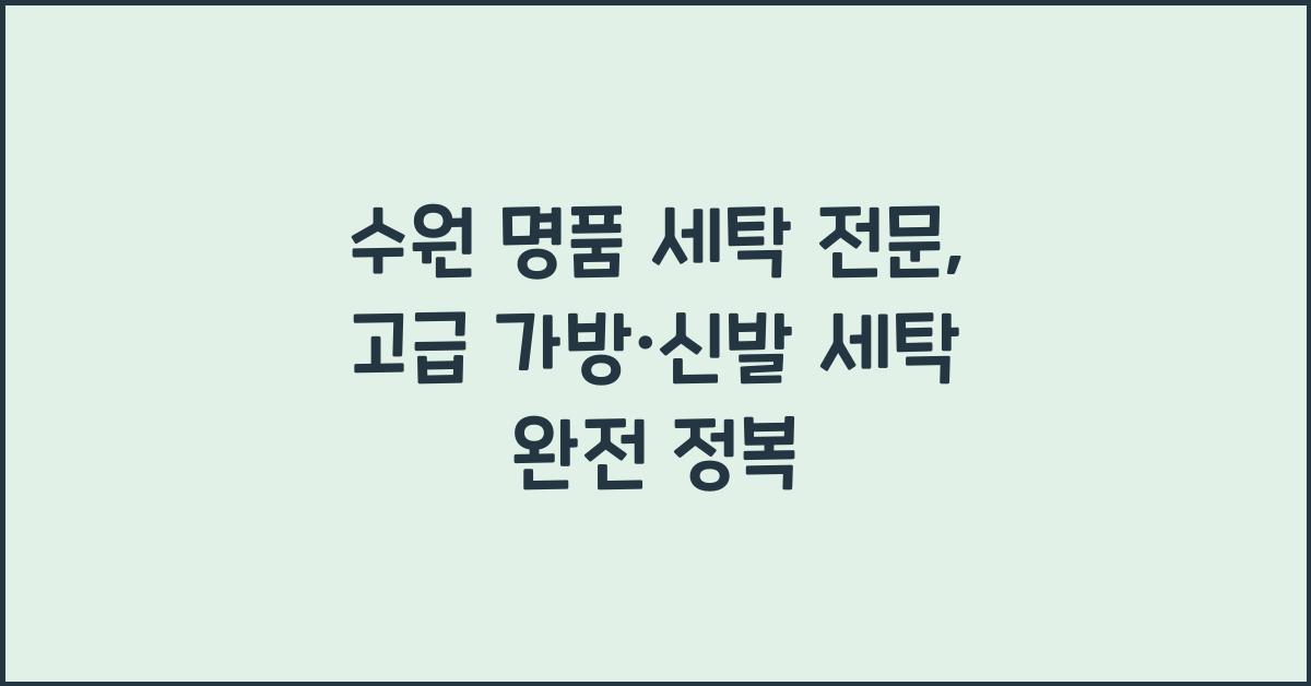 명품 세탁 전문