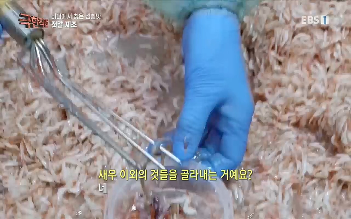 TV - 교육의 중심 EBS바다에서 찾은 감칠맛 새우젓과 다시마.mp4_20220717_175009.792.jpg