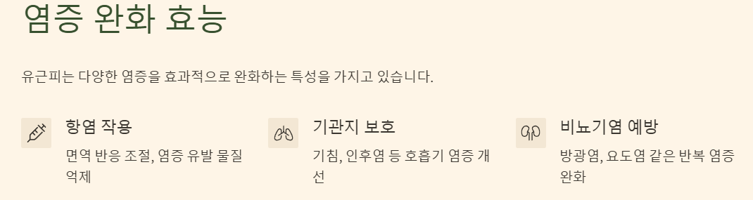 염증 완화 효능 예시