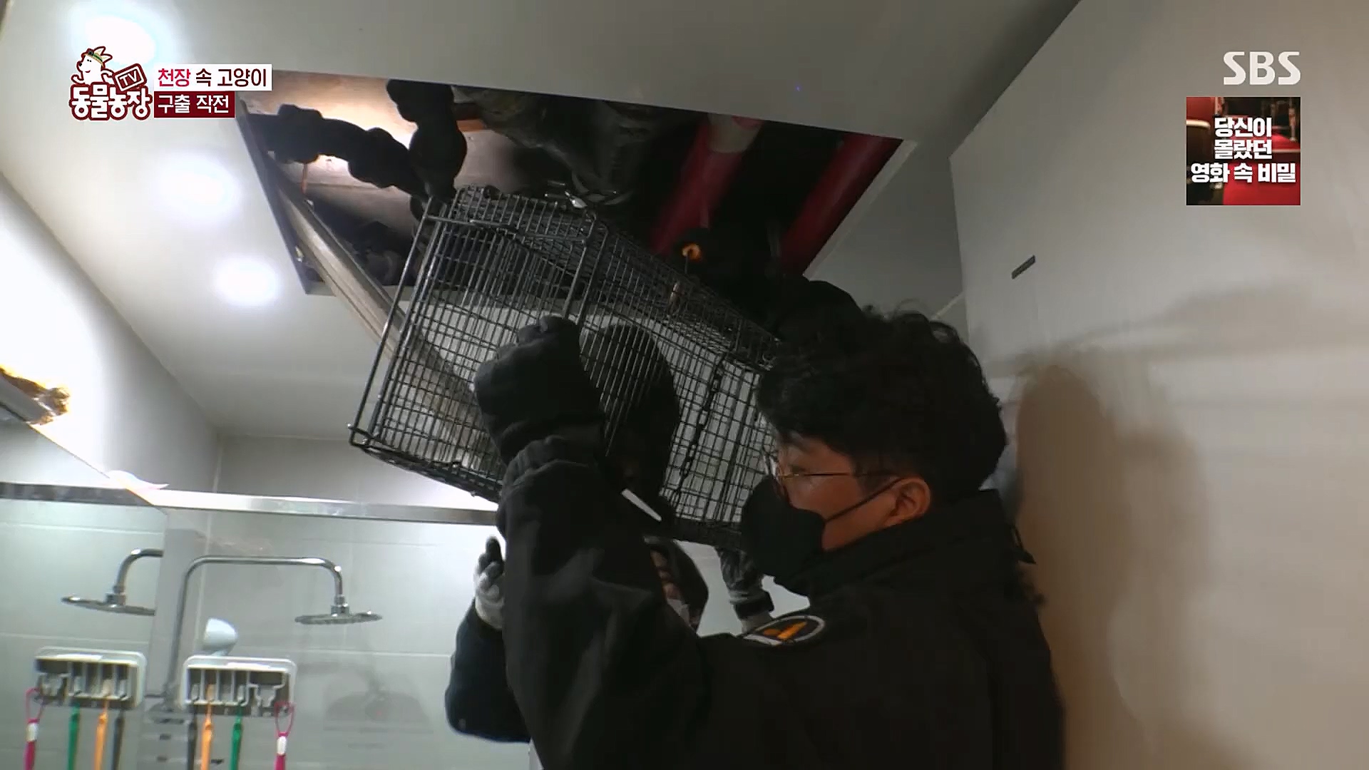 TV 동물농장.E1113.230326p.H264-F1RST.mp4_20230326_172457.102.jpg