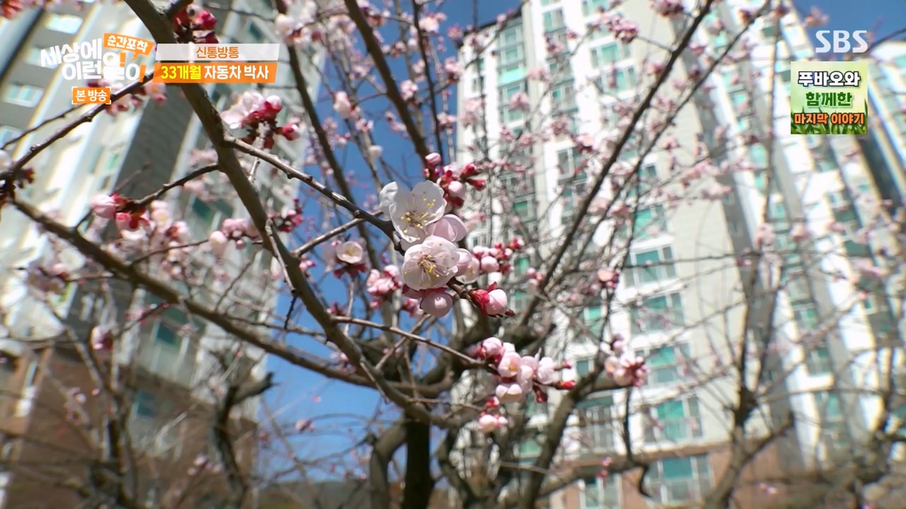 순간포착 세상에 이런일이.E1270.240324p-NEXT.mp4_20240324_164814.637.jpg