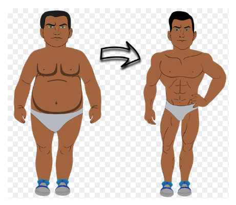 고단백 다이어트, 알고 계신가요?