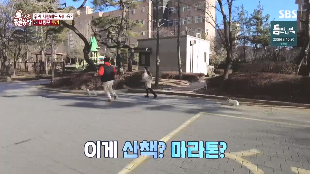 TV 동물농장.E1167.240415p-NEXT.mp4_20240414_160921.591.jpg