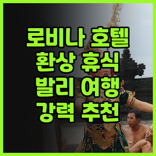 더 로비나 호텔 후기 발리 로비나 해